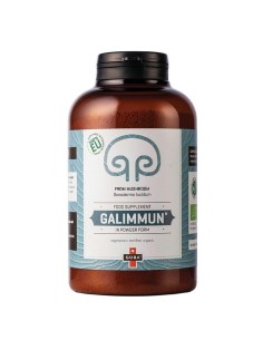 Galimmun u prahu