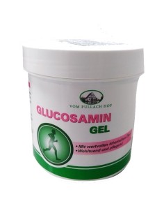 Glukozamin gel - Salvija