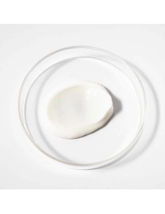 Scandinavian Biolabs Bio-Pilixin Regenerator za rast kose za žene 2