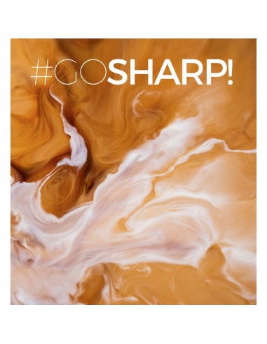 Mushroom Cups Go Sharp organska instant kava sa Lavljom Grivom i Lisičarkama