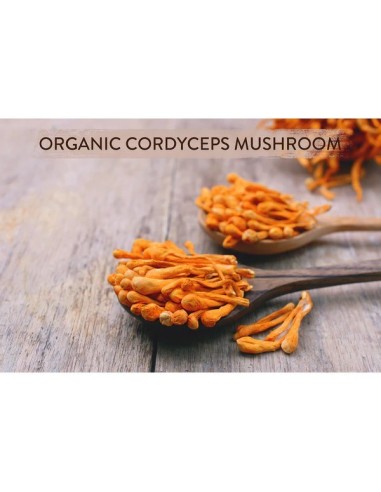 Mushroom Cups Go Tireless organska instant kava sa Cordycepsom i Lisičarkama, dodatak prehrani