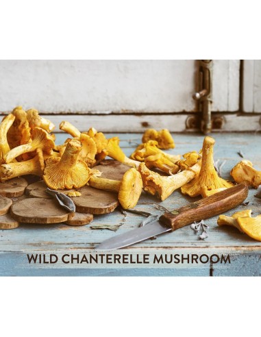 Mushroom Cups Go Relax organski instant kakao sa Reishi i Lisičarkama