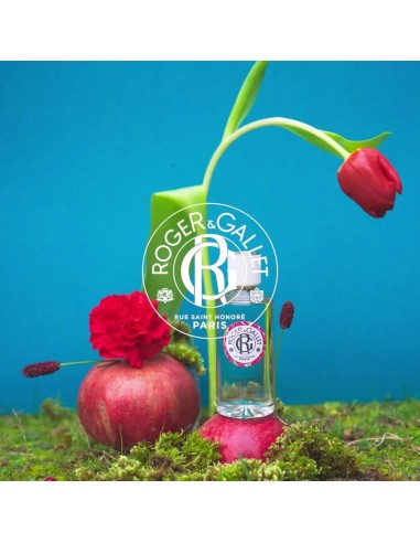 Roger & Gallet Gingembre Rouge Mirisna vodica Crveni đumbir