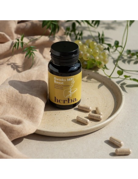 Herba Croatica Detoks MF Boost kapsule