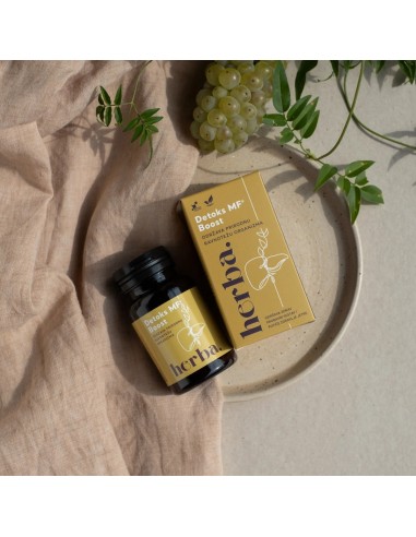 Herba Croatica Detoks MF Boost kapsule