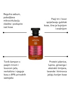 Phytophanere Kapsule + Women's shampoo with Hippophae 250 ml + Hair loss lotion + Tonic conditioner for thinning hair 2