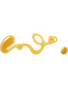 Apivita Color Color protect shampoo with sunflower & honey 2