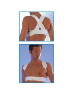 Scudotex Pojas za ravno držanje 621