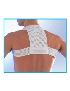 Scudotex pojas za ravno držanje 623