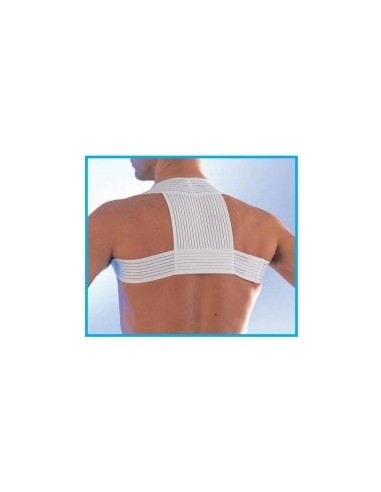 Scudotex pojas za ravno držanje 623