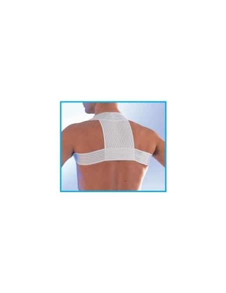 Scudotex pojas za ravno držanje 623