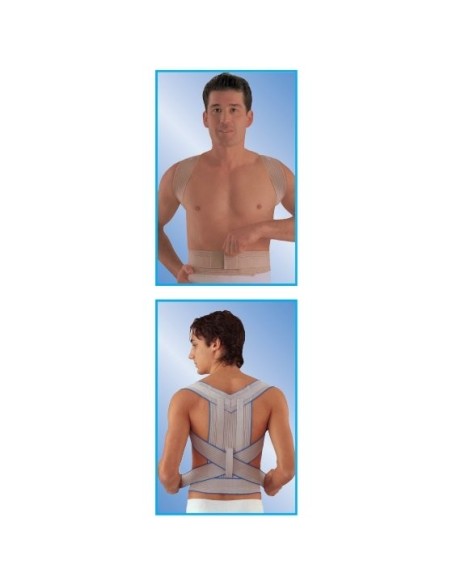 Scudotex Pojas za ravno držanje 624