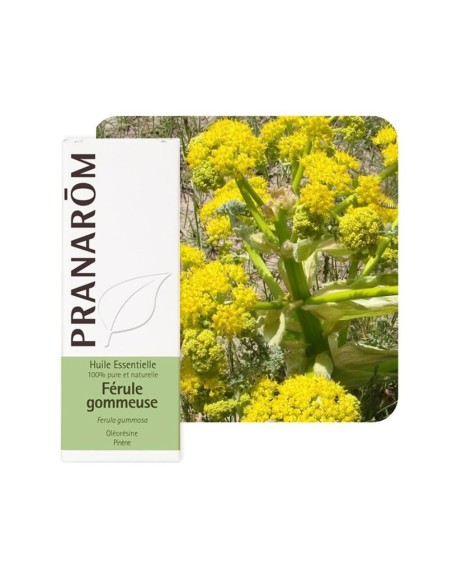 Pranarom Eterično ulje GALBANUM