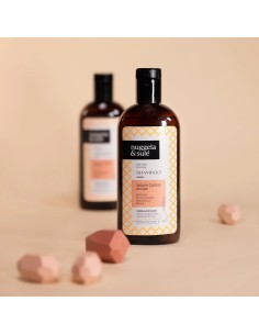 Nuggela & Sule Sebum Control šampon za masnu kosu 2