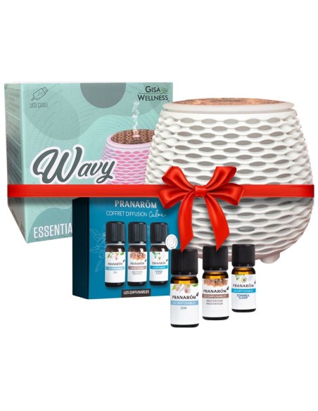 Gisa Difuzer Wavy + Pranarom Calm - set mješavina za difuzer Promo pakiranje