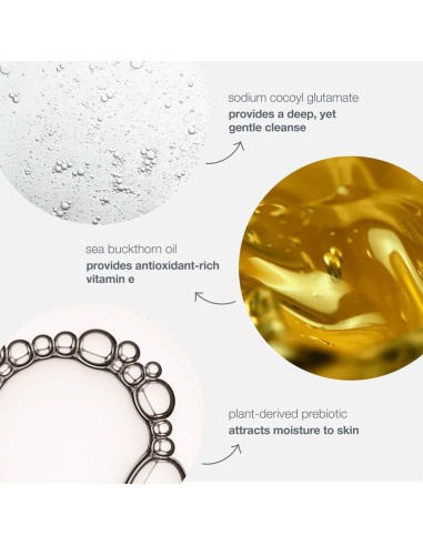 Dermalogica Oil to foam Total Cleanser