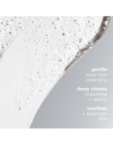 Dermalogica Special Cleansing Gel