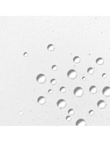 Dermalogica Hyaluronic Ceramide mist