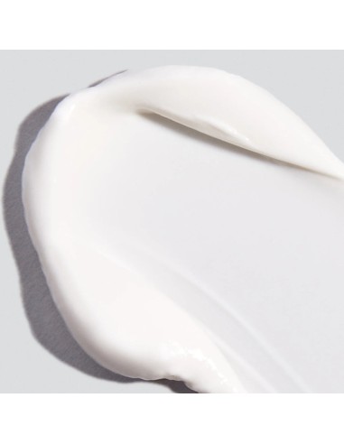 Dermalogica Prisma protect SPF 30