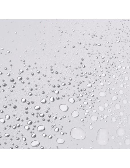 Dermalogica Antioxidant Hydramist