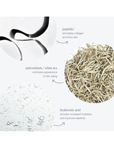 Dermalogica Dynamic Skin Recovery SPF 50