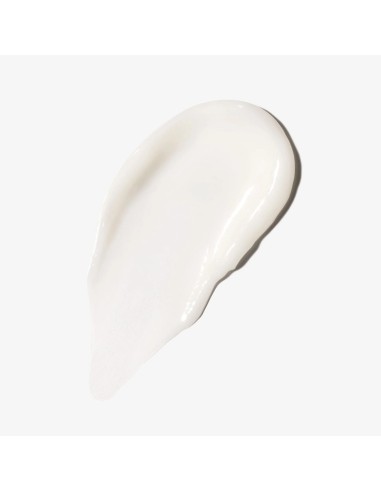 Dermalogica Powerbright Overnight Cream