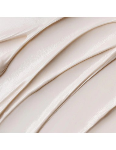 Dermalogica Stabilizing Repair Cream