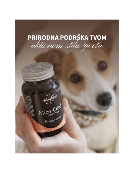 Hifas da Terra Mico-Cord kapsule, dodatak prehrani