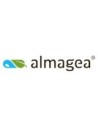Almagea