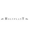 Holyplant